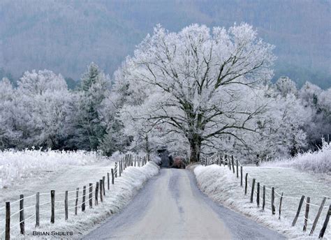 Great smoky mountains winter. Things To Know About Great smoky mountains winter. 